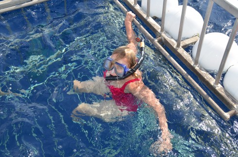 In the Shark Cage