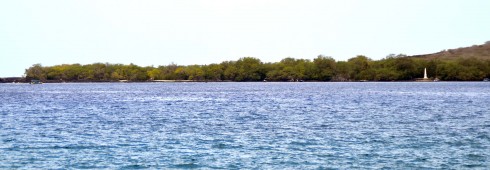 Cook Monument across Kealakekua Bay