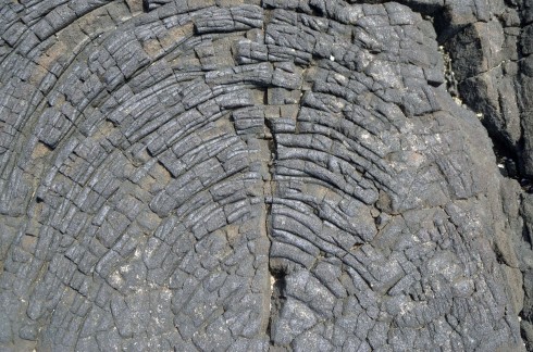 Lava Pattern