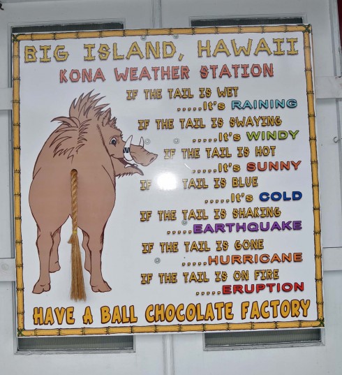 Donkey Balls weather vane