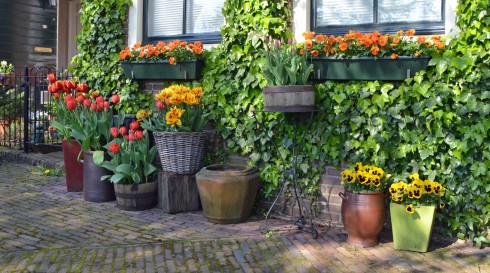 Spaarndam garden
