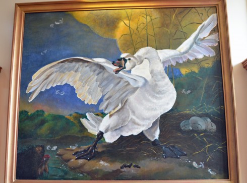 The Threatened swan