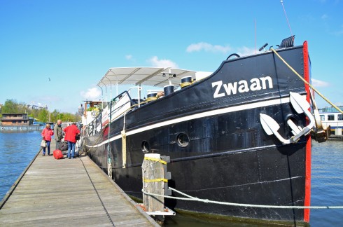 The Zwaan
