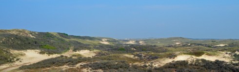 Castricum dunes