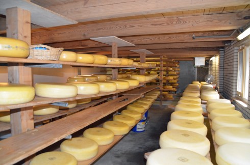 Cheese storage