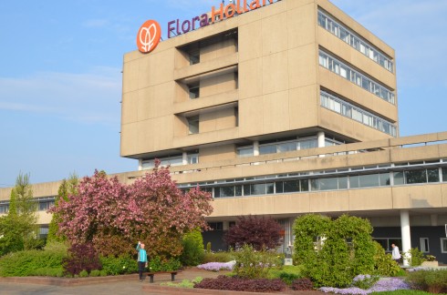 Alsmeer Flower market