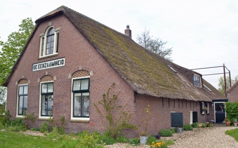 Gouda farm