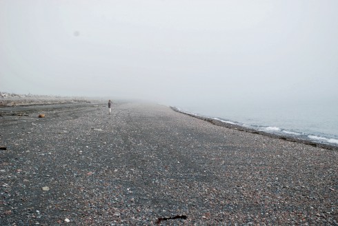 Advocate Harbour Beach in the fog