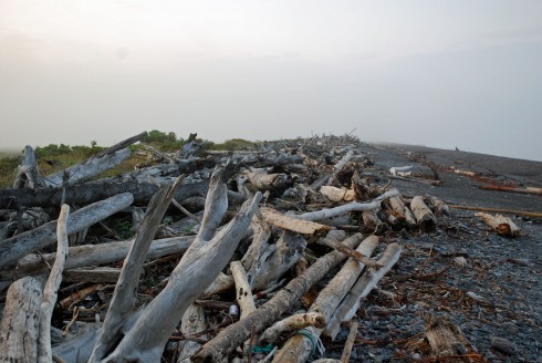 Driftwood at Driftwood Retreat