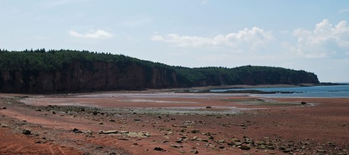 Spicer's Cove