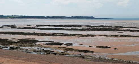 Low Tide Apple River