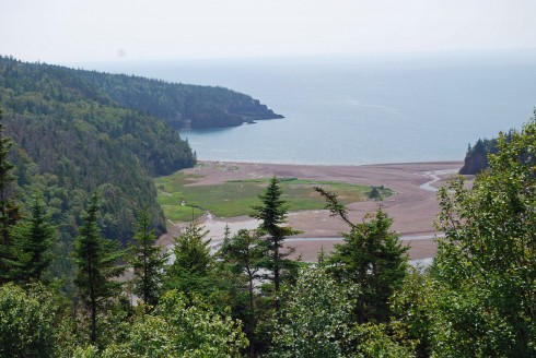 View from Eatonville Interpretive Centre