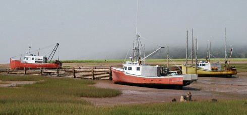 West Apple River Fleet