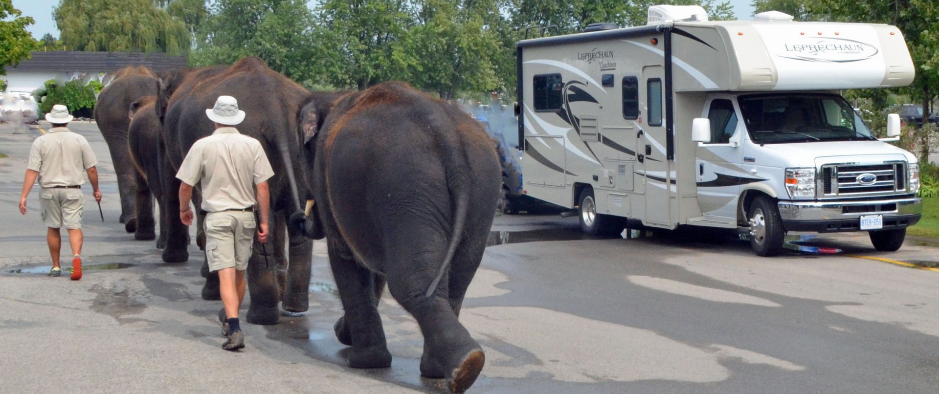 Elephants and RV at African Lion Safari