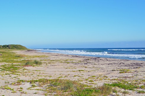 John D. MacArthur Beach