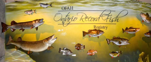 Ontario Record Fish at the Kawarthas Hunting and Fishing Centre