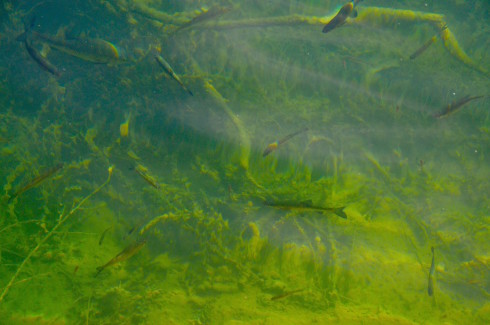 Krka National Park