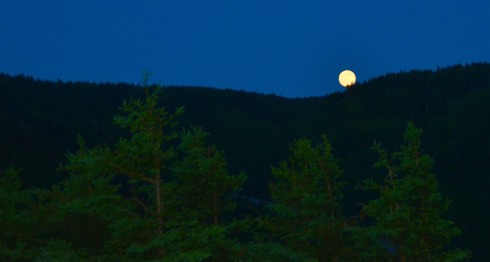 Strawberry Moon on the Skyline Trail