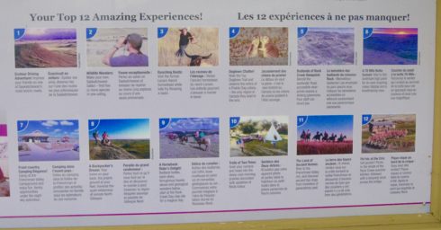 Grasslands National Park Things to Do