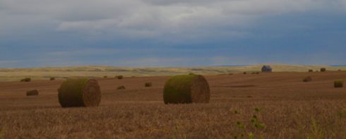 On the way to Grasslands National Park
