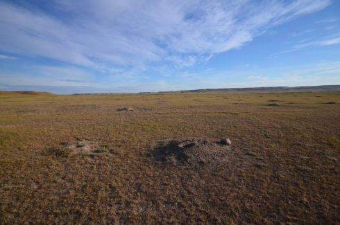 Grasslands National Park