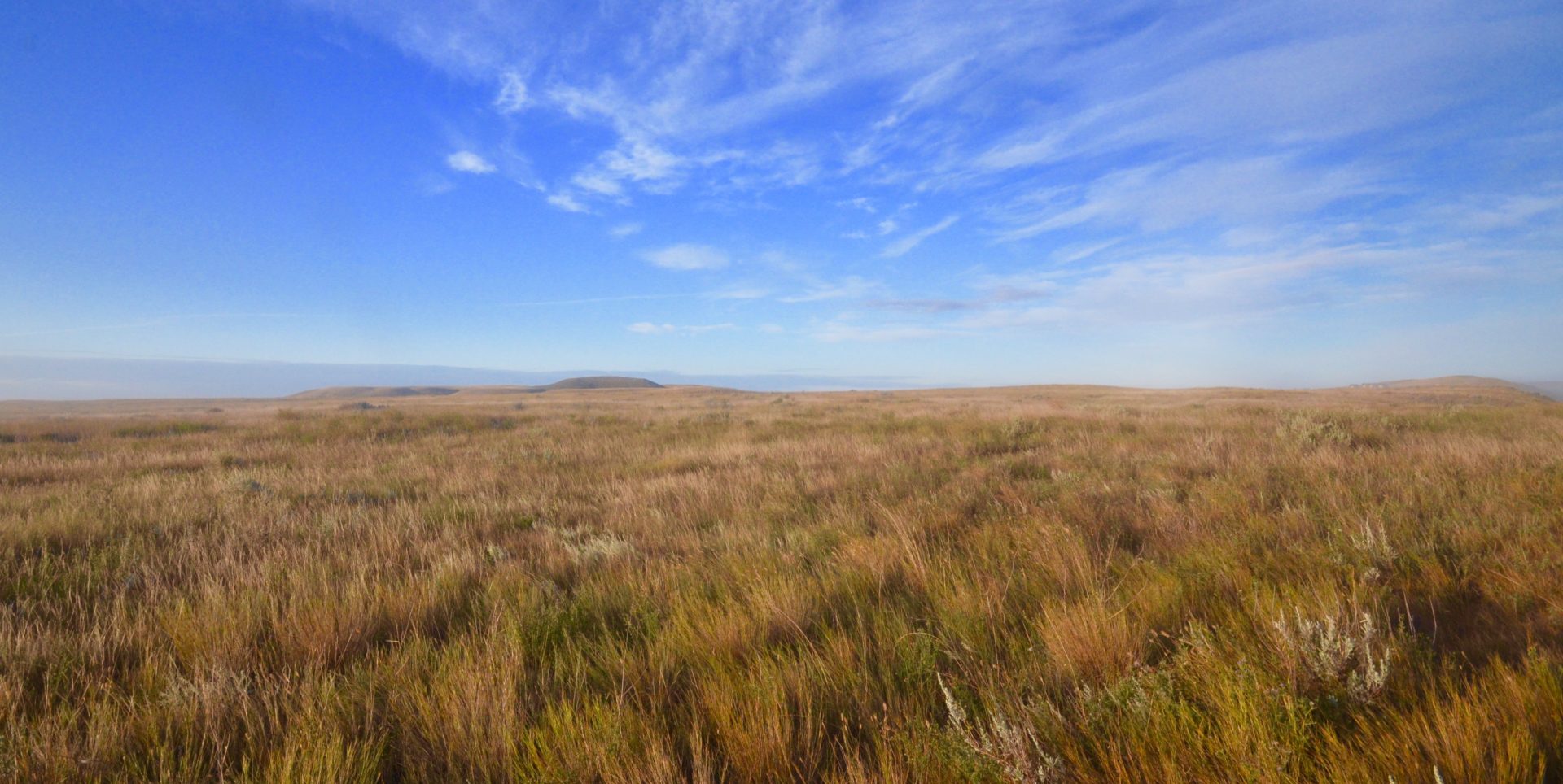 Grasslands National Park Prairie