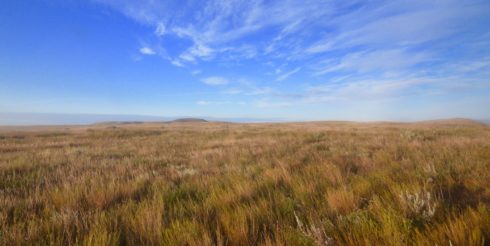 Grasslands National Park Prairie