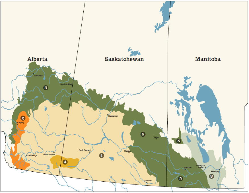 Types of Prairie in Canada