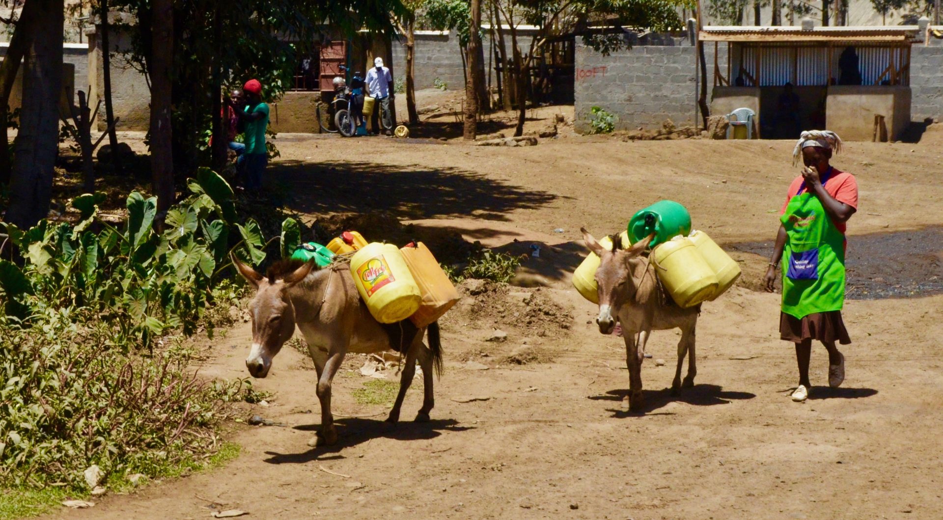 Delivery by Donkey