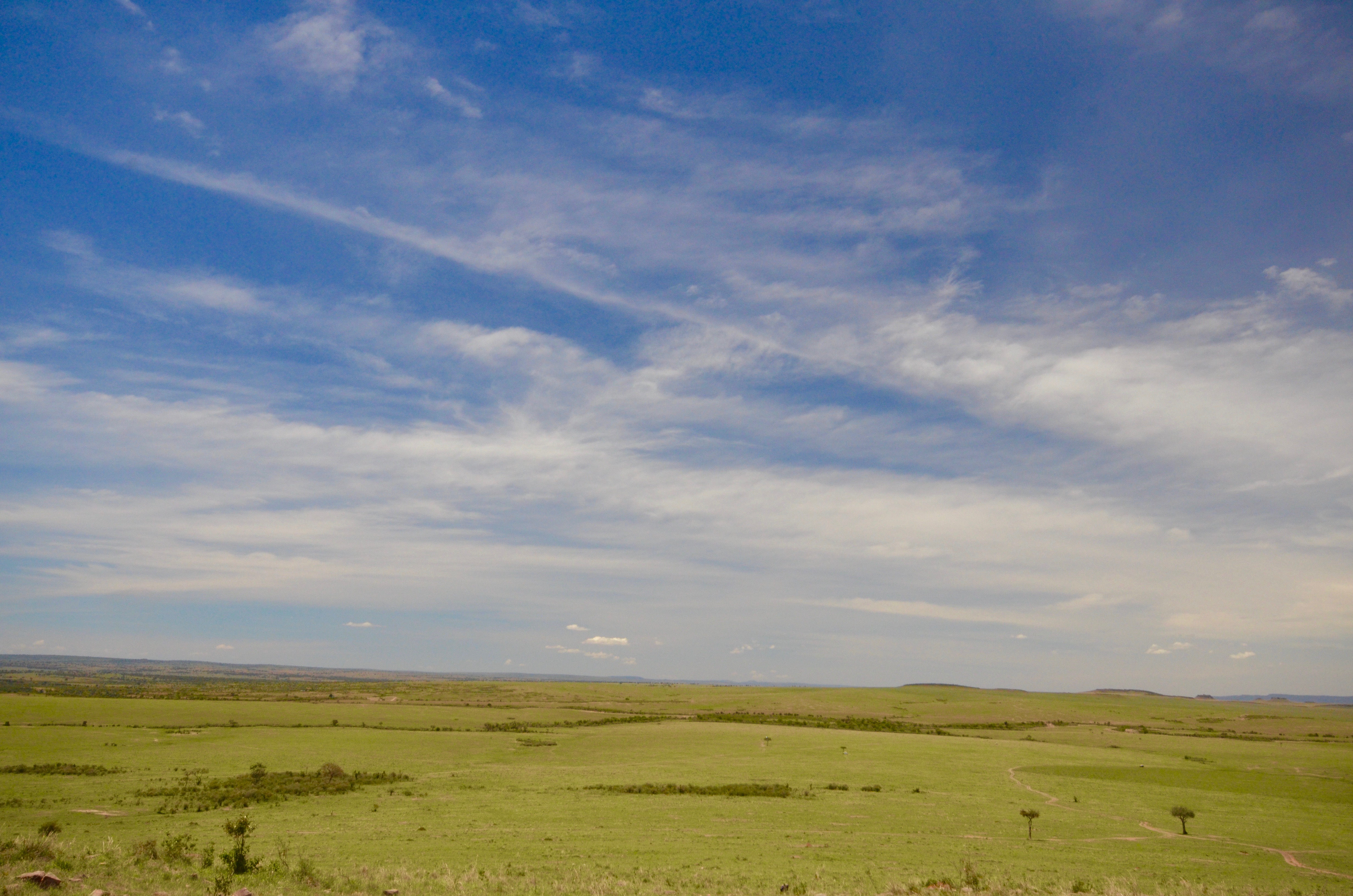 Big Skies on Masai Mara