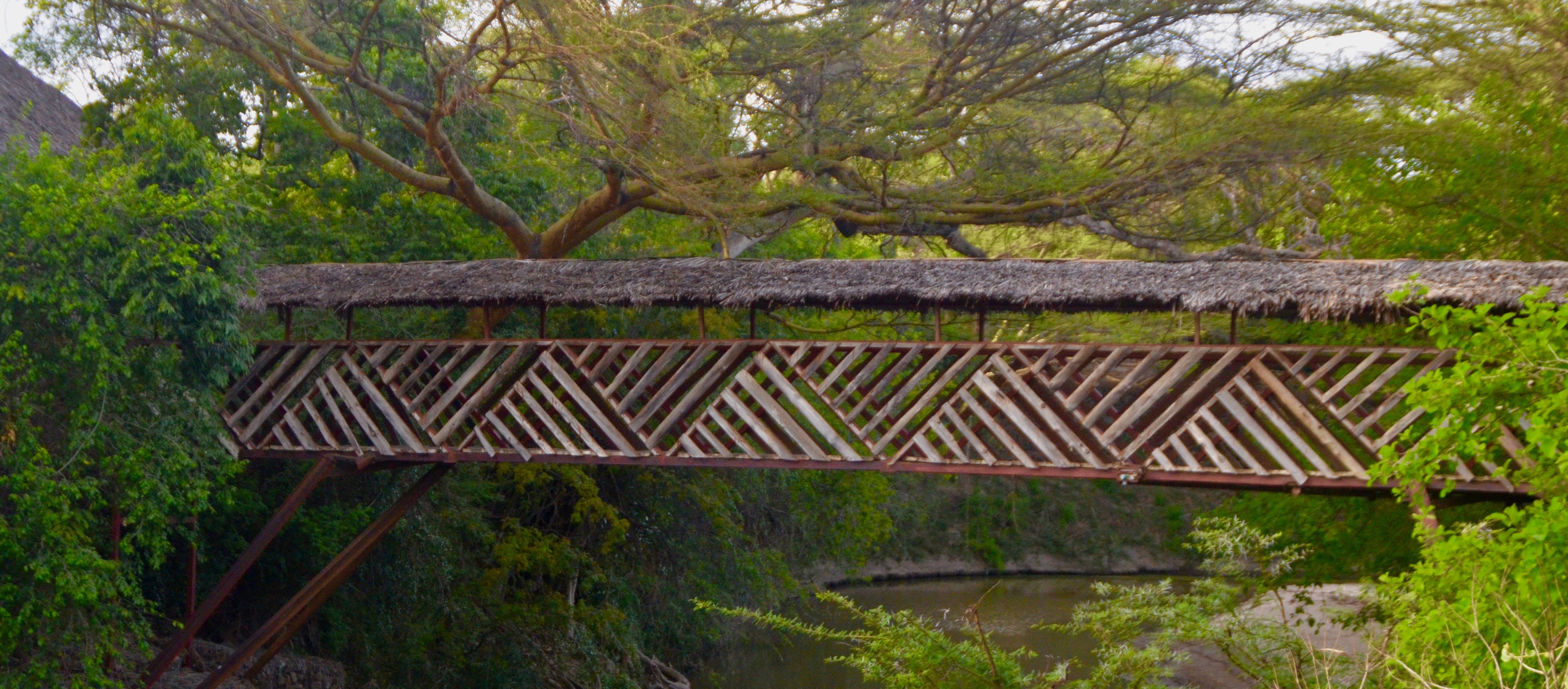 Bridge to Fig Tree Camp, Masai Mara