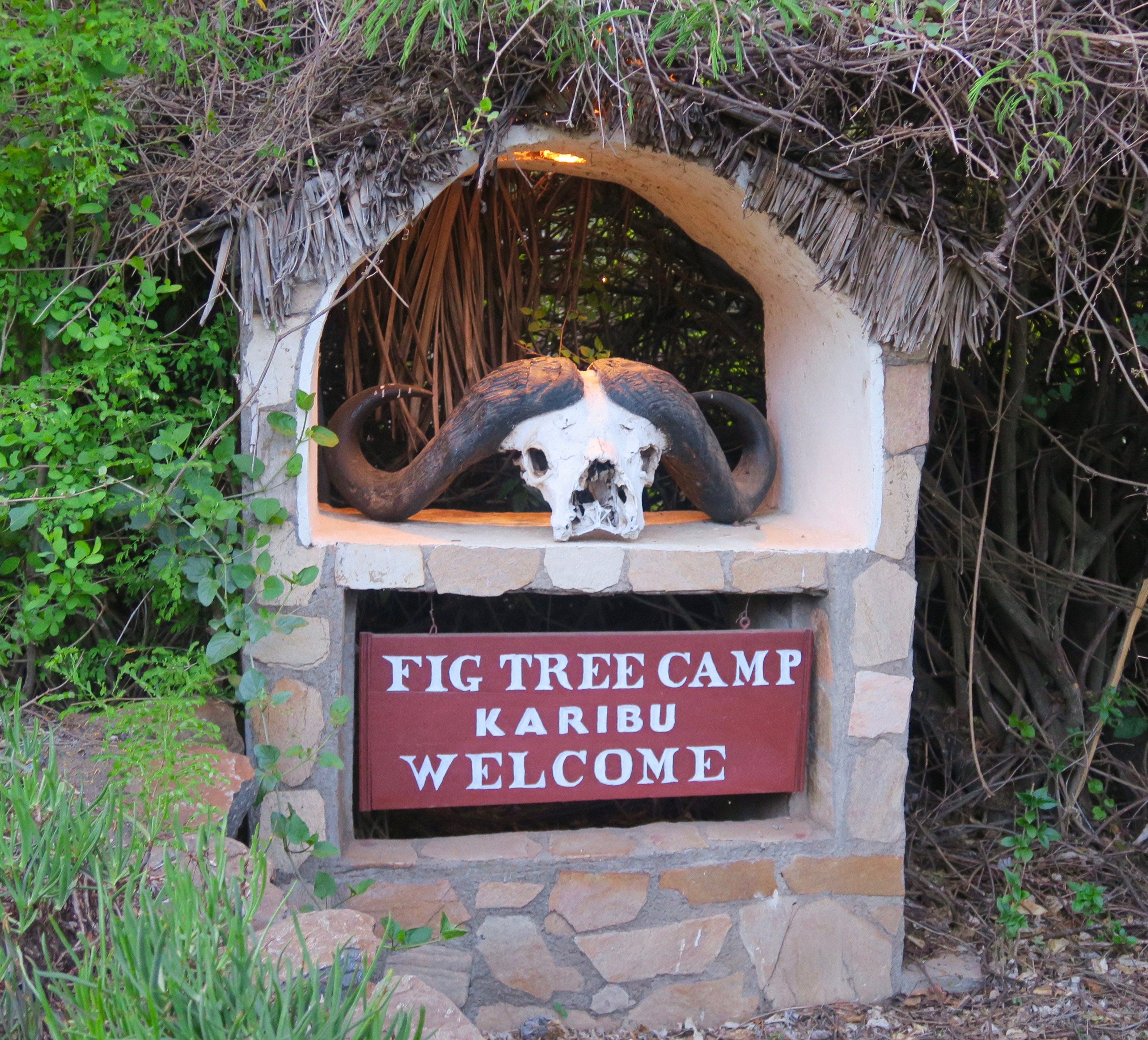 Welcome to Fig Tree Camp, Masai Mara
