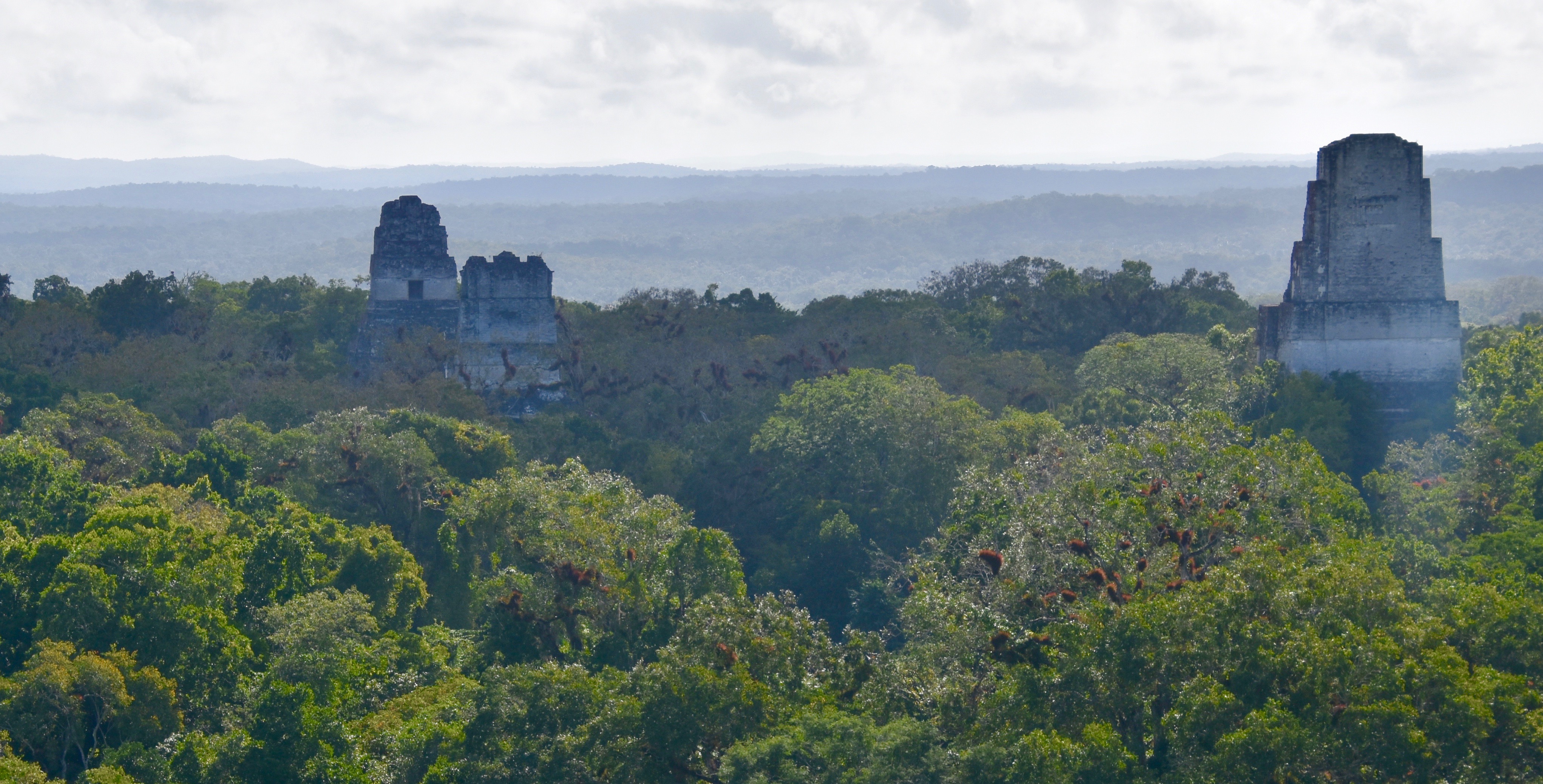 View of Tikal from Lost World