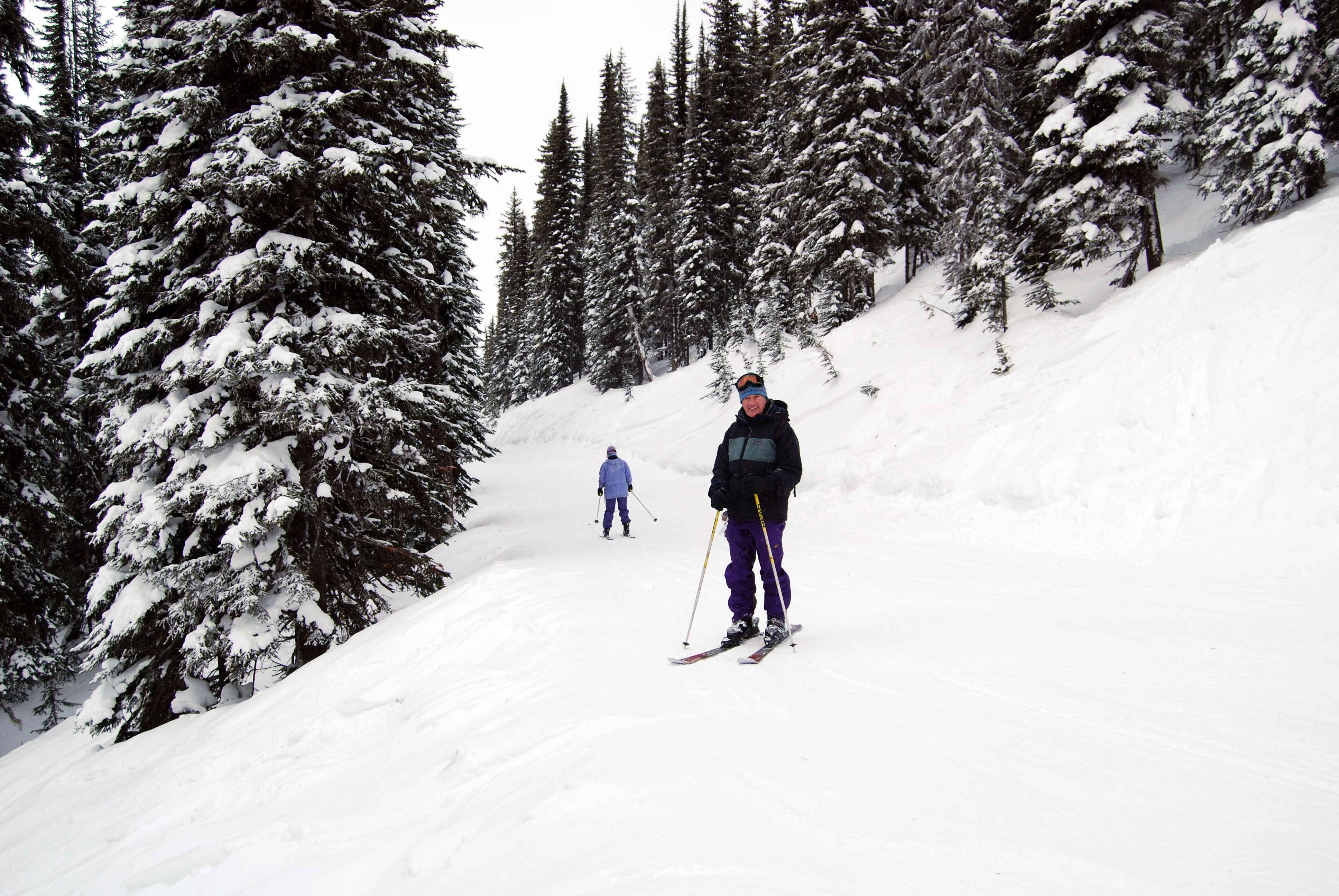 Revelstoke Wonderland