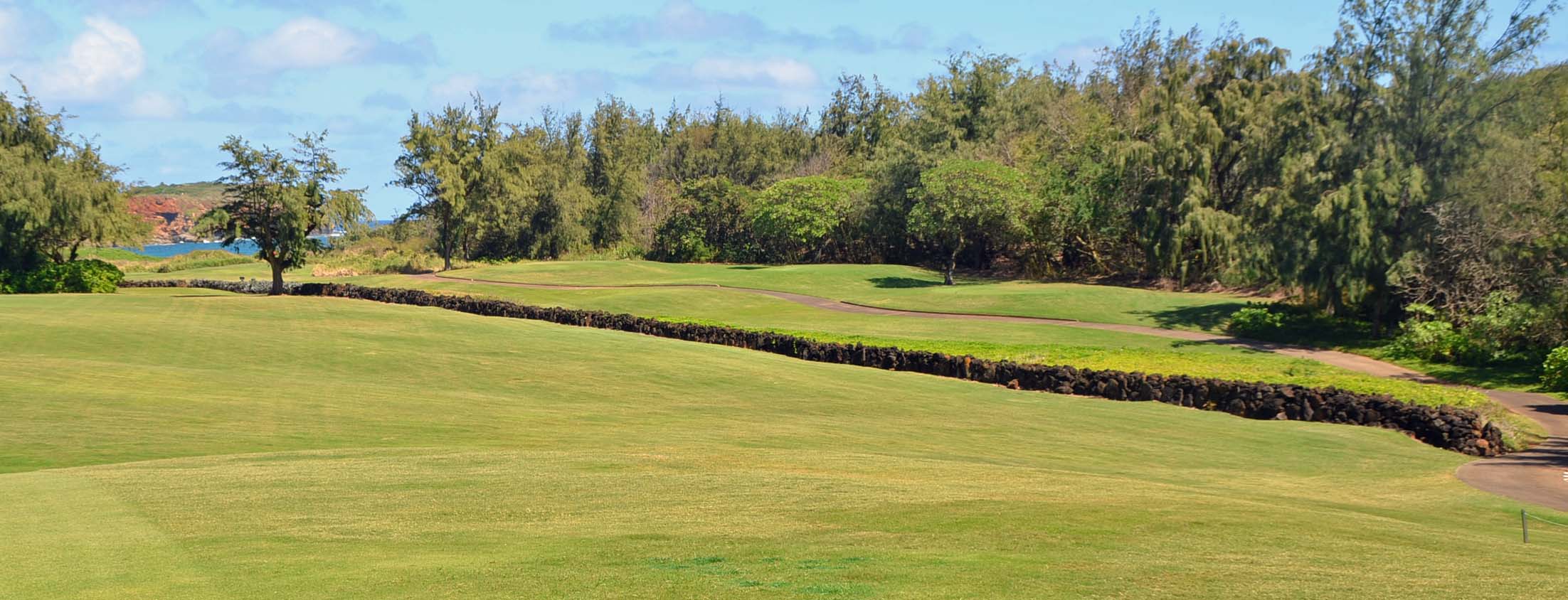 Lava Wall No 16, Poipu Bay