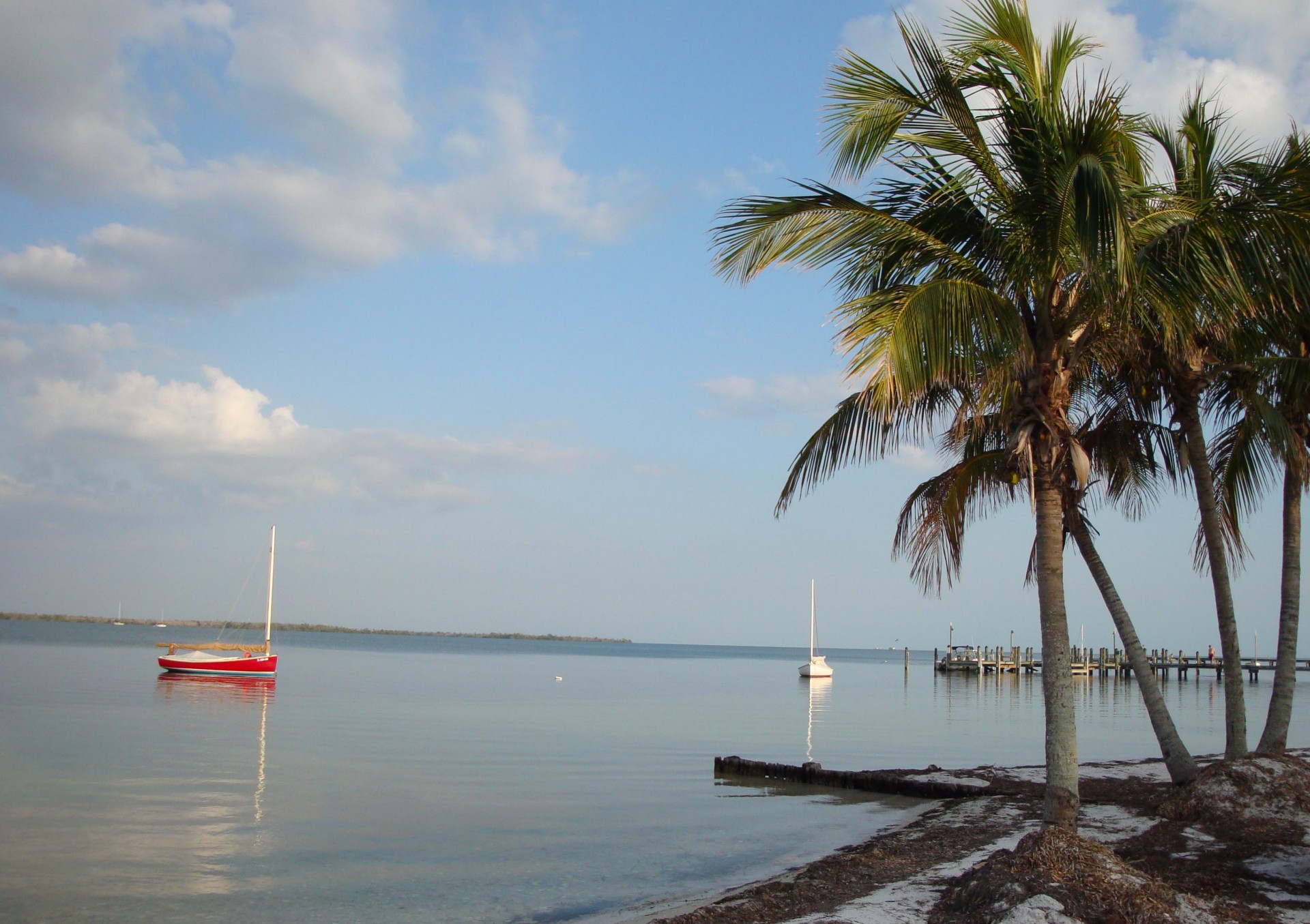 Useppa Island Try to Get There Once in Your Lifetime Here's Why