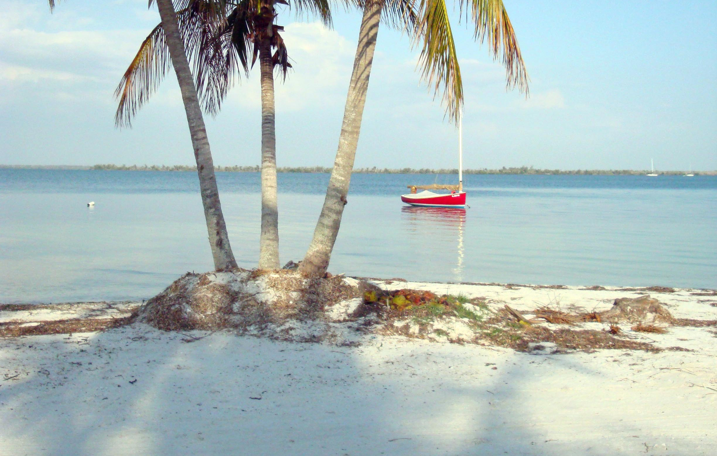 Useppa Island Try to Get There Once in Your Lifetime Here's Why