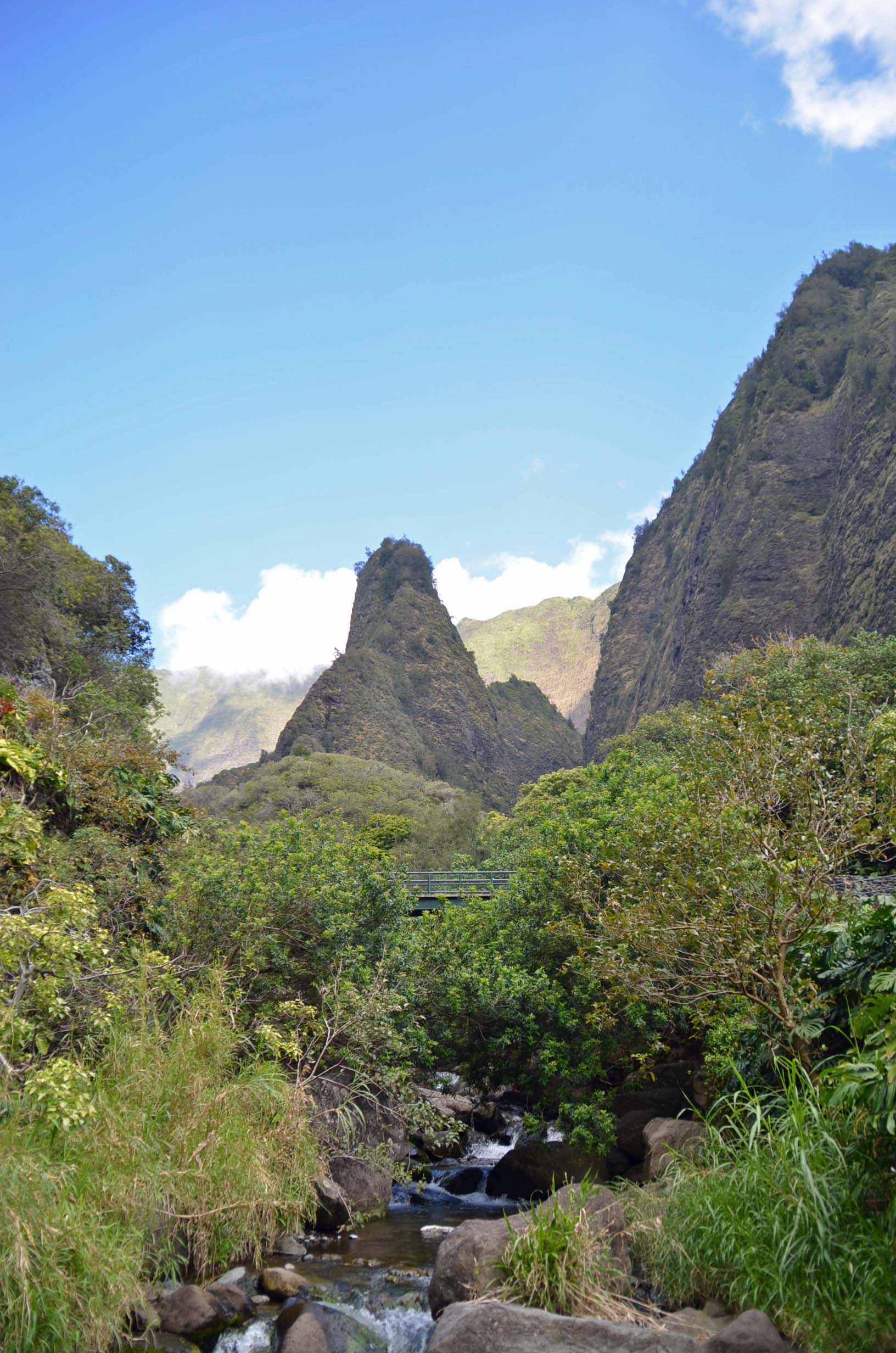 Ioa Valley State Park, Maui