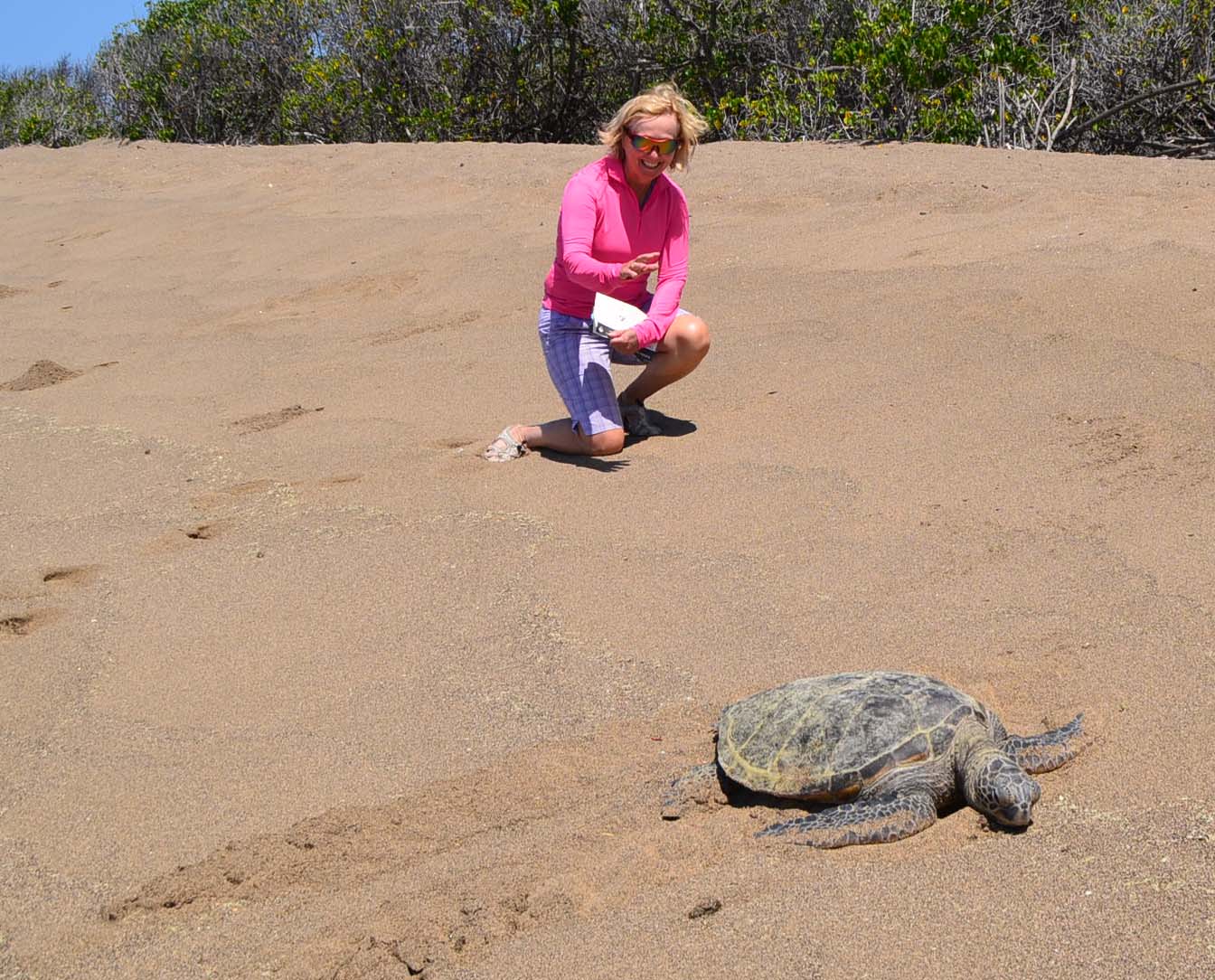 Alison & Green Sea Turtle