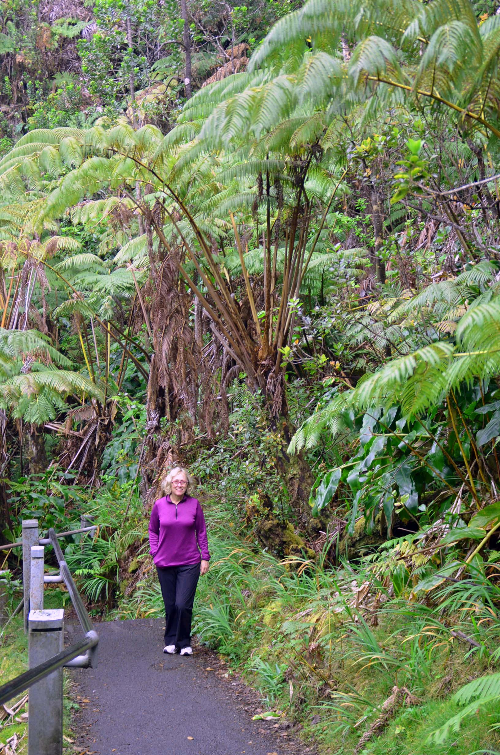 Amidst the Giant Ferns