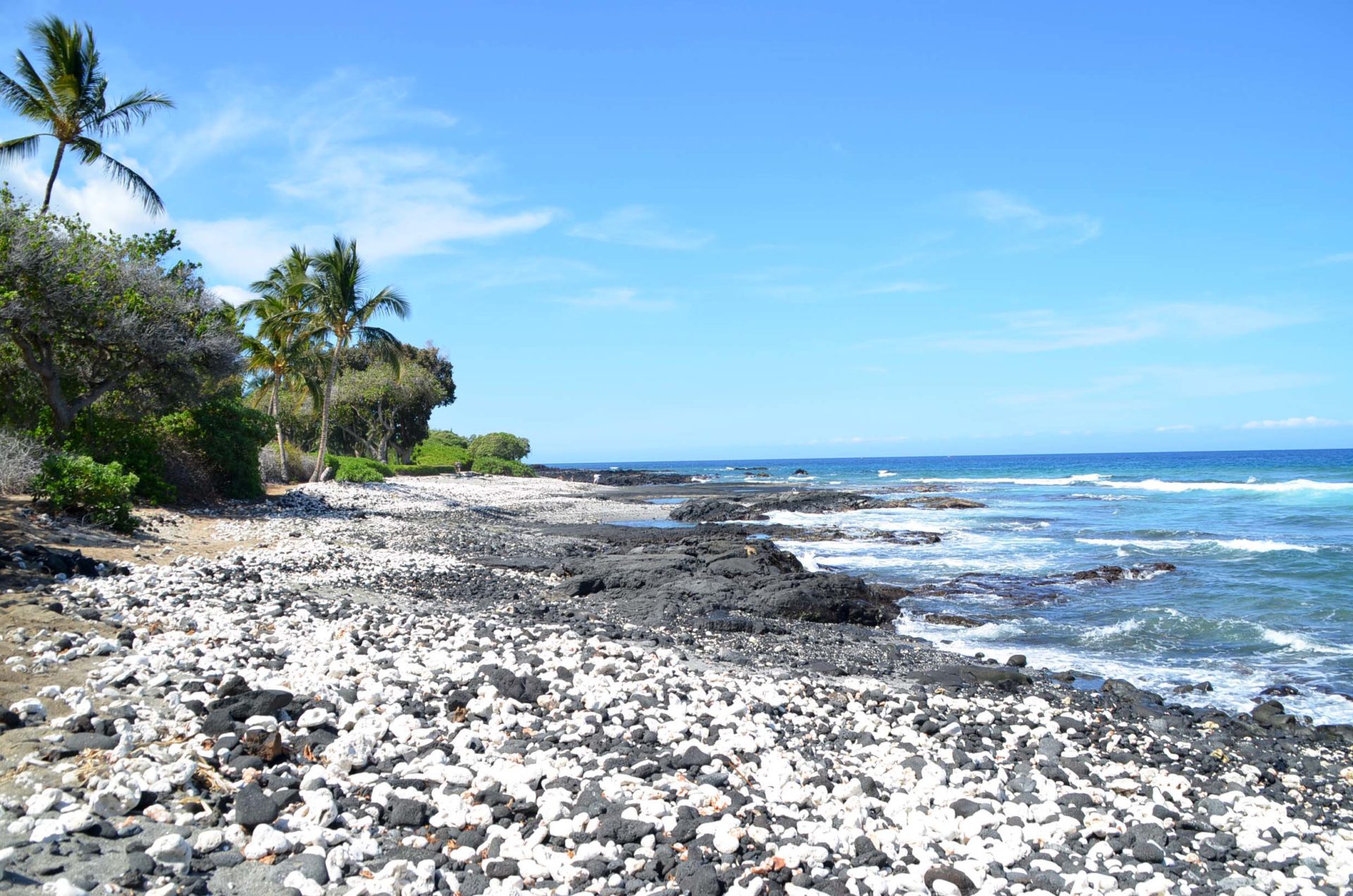 Holoholokai Beach near the Fairmont Orchid