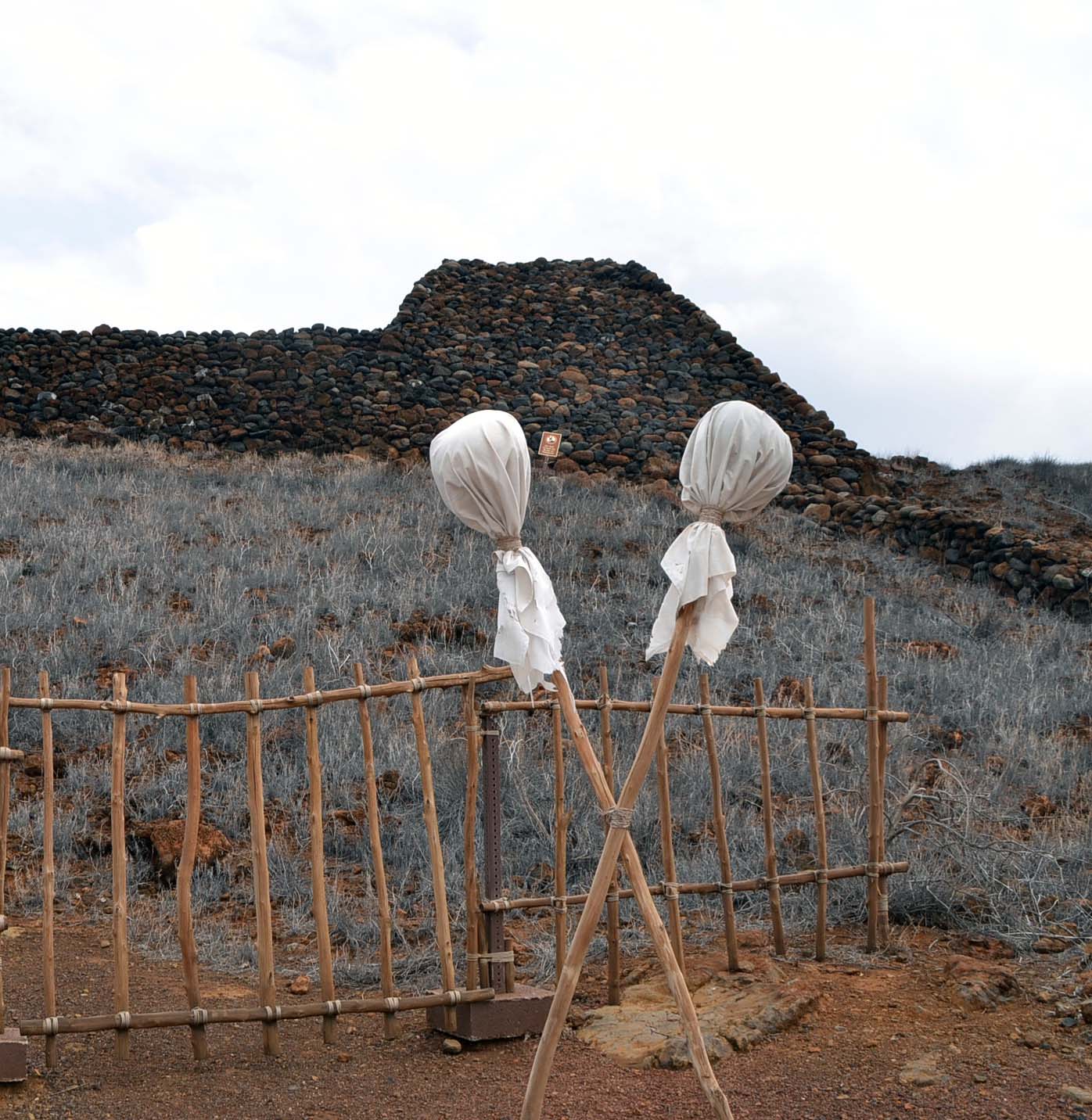 Kapu Pu'ukohola