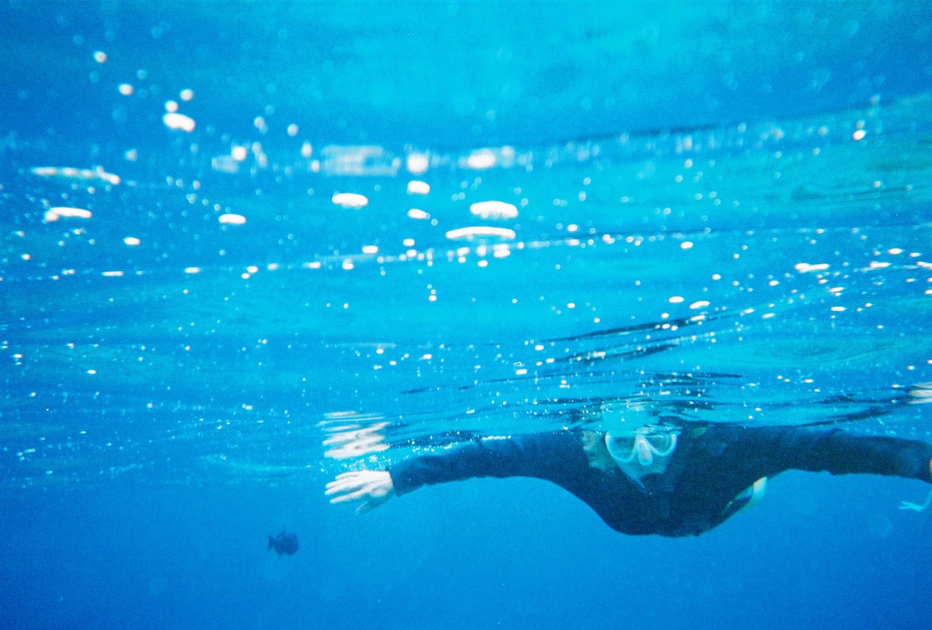 Alison staying horizontal at Molokini