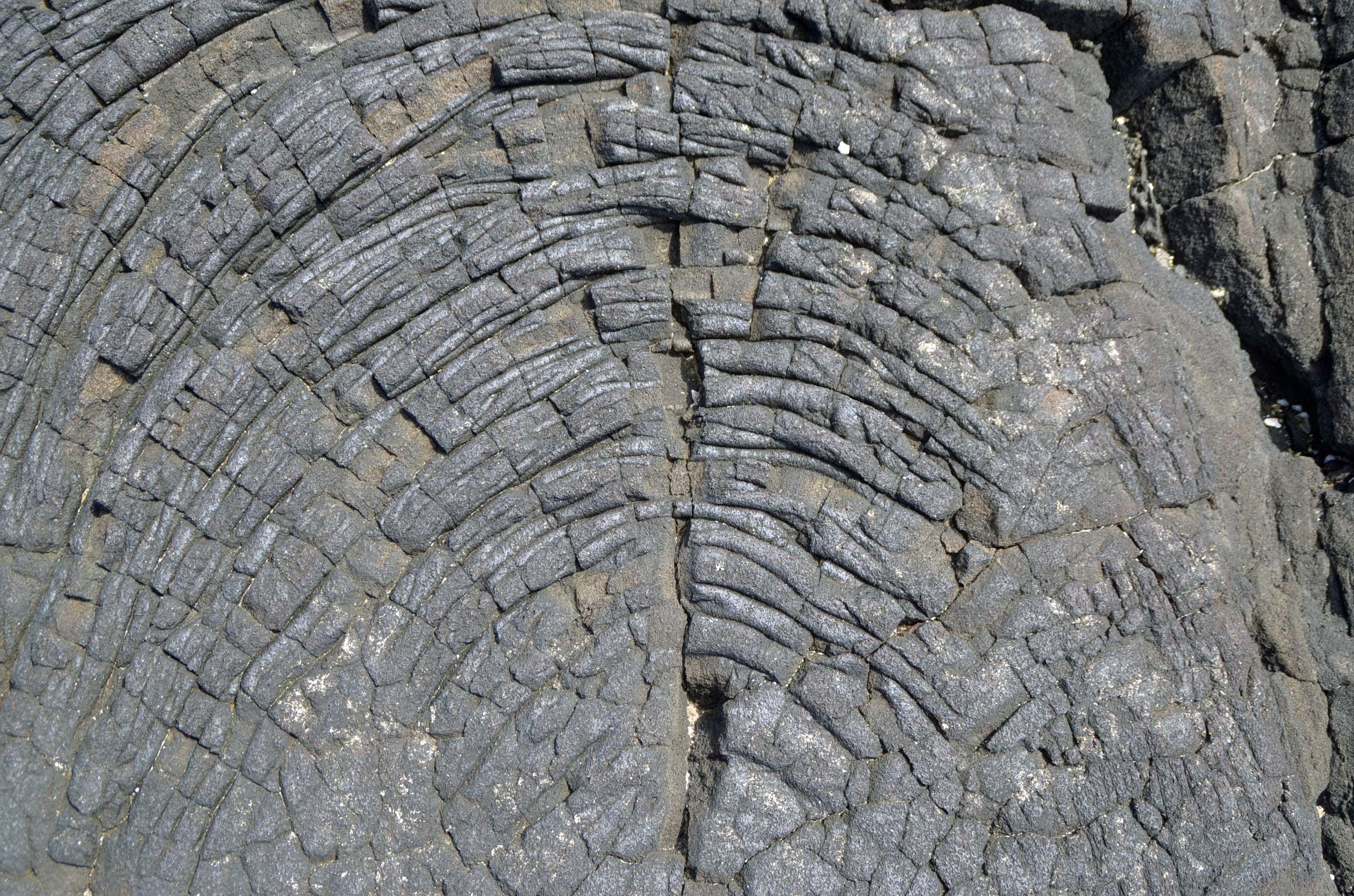 Lava Pattern at Pu'uhonua O Honaunau