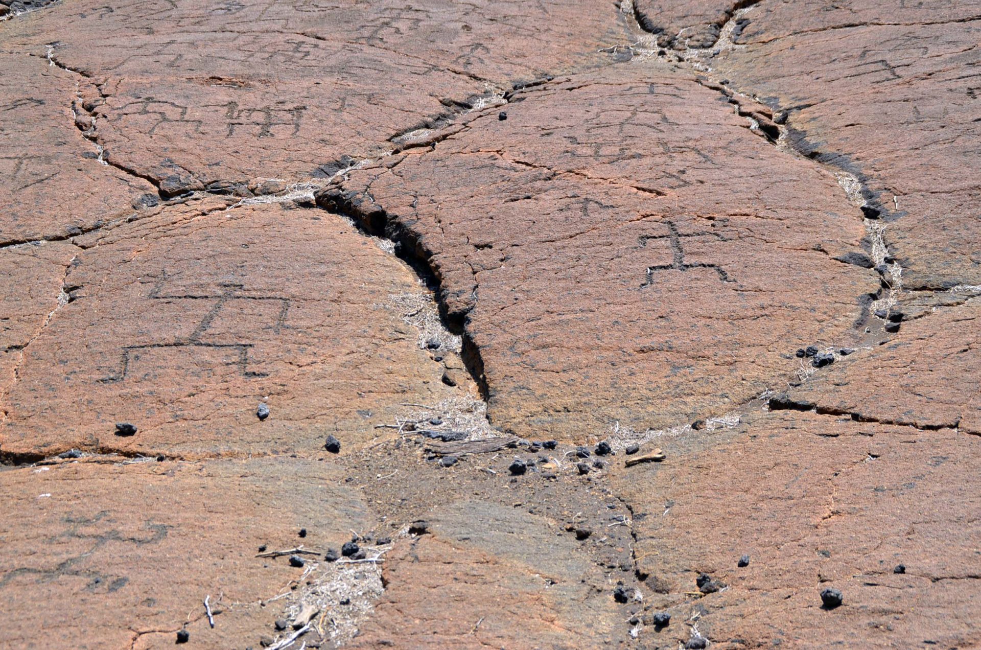 Puoko Petroglyphs near the Fairmont Orchid