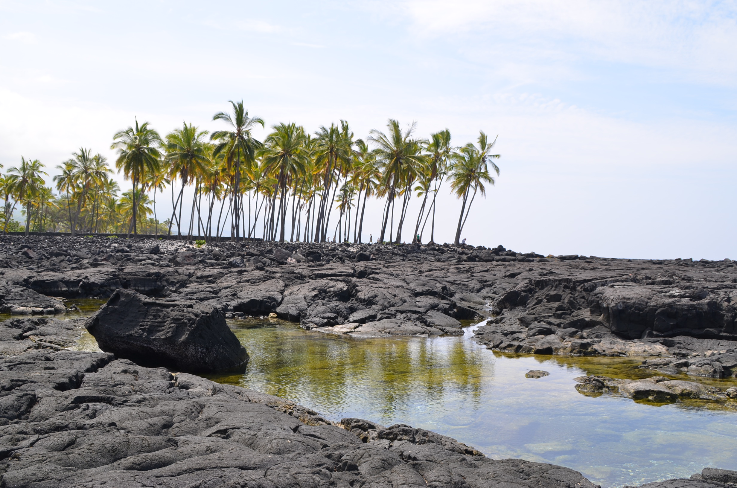 Place of Refuge from the shoreline