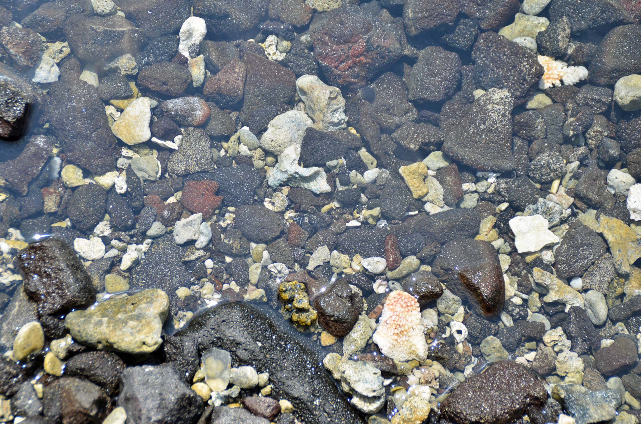 Hale O Keawe tide pool