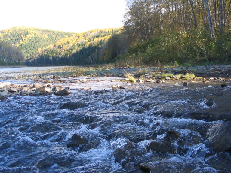 The Restigouche Three Days of Paddling this Famous River