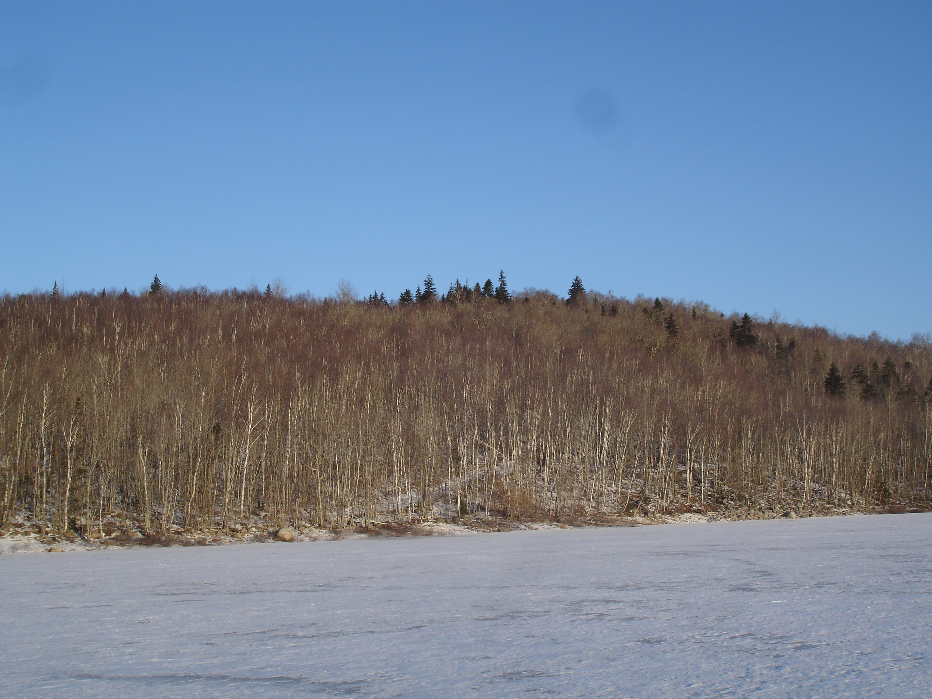 Panuke Lake Nature Preserve