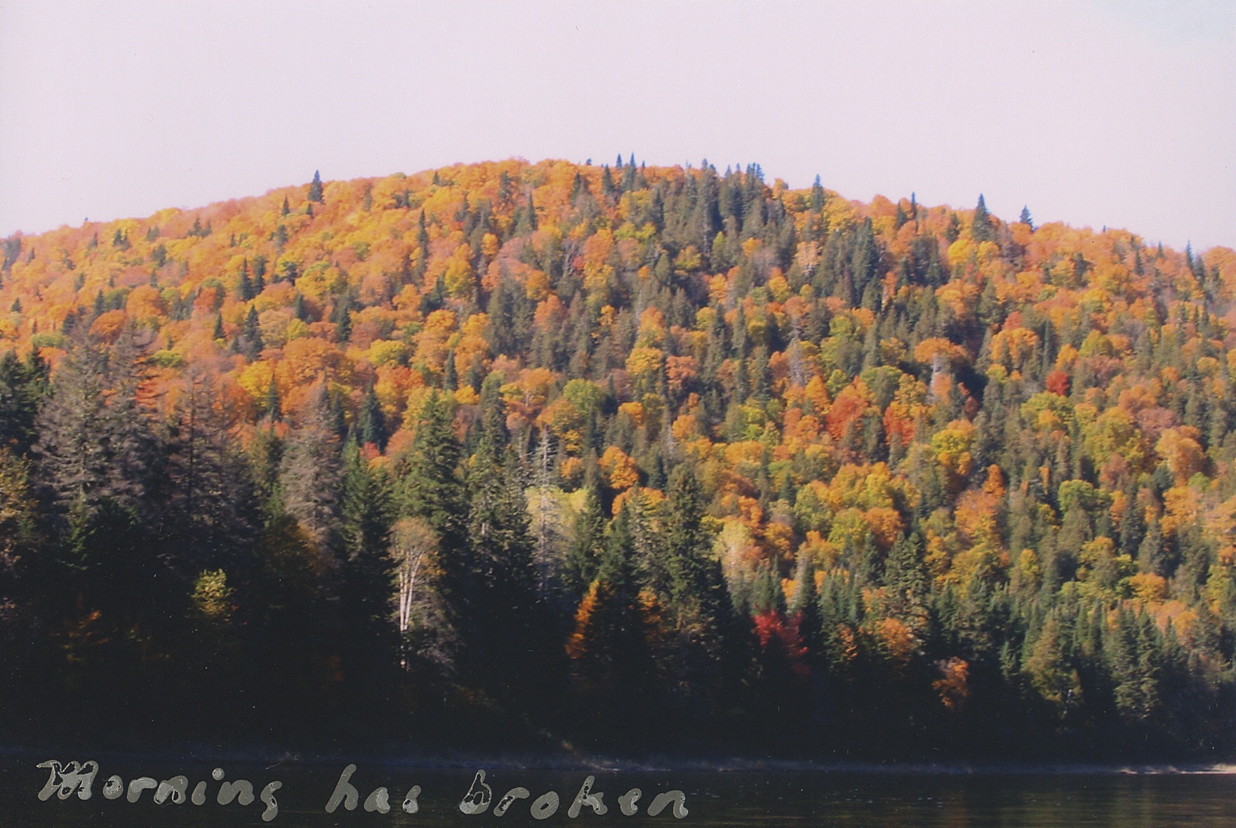 Hills of the Restigouche in Autumn